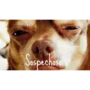 สติกเกอร์