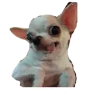 สติกเกอร์