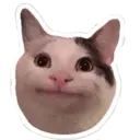 สติกเกอร์