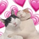 স্টিকার