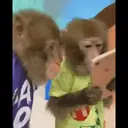 স্টিকার