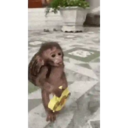 স্টিকার