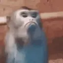 স্টিকার