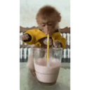 স্টিকার