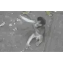 স্টিকার