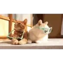 Կպչուն պիտակ