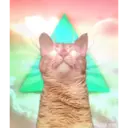 Կպչուն պիտակ