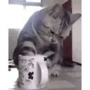 Կպչուն պիտակ