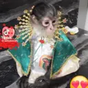 స్టికర్