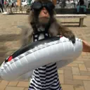 స్టికర్