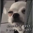 స్టికర్