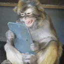 స్టికర్