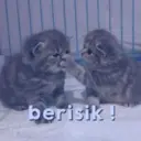 ස්ටිකර්