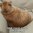 ස්ටිකර්