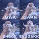 ස්ටිකර්