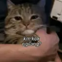 ස්ටිකර්