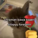 ස්ටිකර්