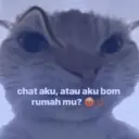 ස්ටිකර්