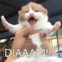 ස්ටිකර්