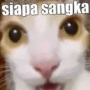 ස්ටිකර්