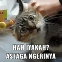 ස්ටිකර්