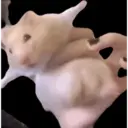 สติกเกอร์