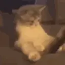 สติกเกอร์