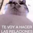 สติกเกอร์