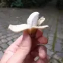 สติกเกอร์