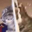 สติกเกอร์