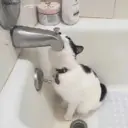 สติกเกอร์