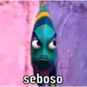 ස්ටිකර්