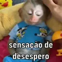 ස්ටිකර්