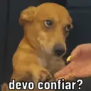 ස්ටිකර්