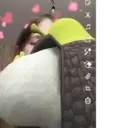 স্টিকার