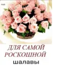 ස්ටිකර්