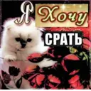 ස්ටිකර්