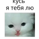 ස්ටිකර්