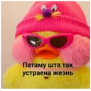 ស្ទីកเกอร์