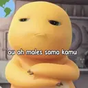 Կպչուն պիտակ