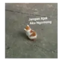 Կպչուն պիտակ