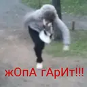 Կպչուն պիտակ