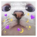 ස්ටිකර්