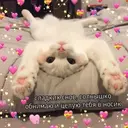 ස්ටිකර්