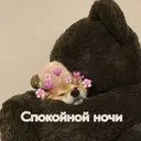 ස්ටිකර්