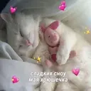 ස්ටිකර්