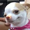 ස්ටිකර්