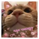 ස්ටිකර්