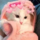 ස්ටිකර්