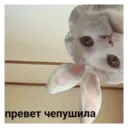 ස්ටිකර්